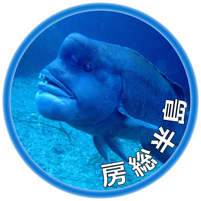 房総半島ダイビングツアー
