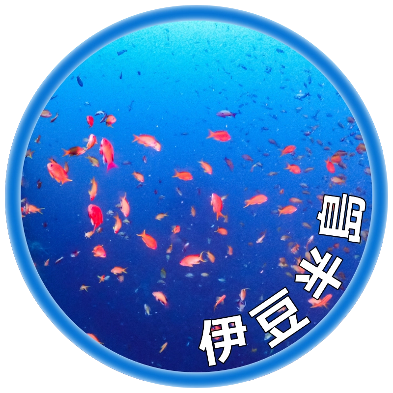 伊豆半島ダイビングツアー