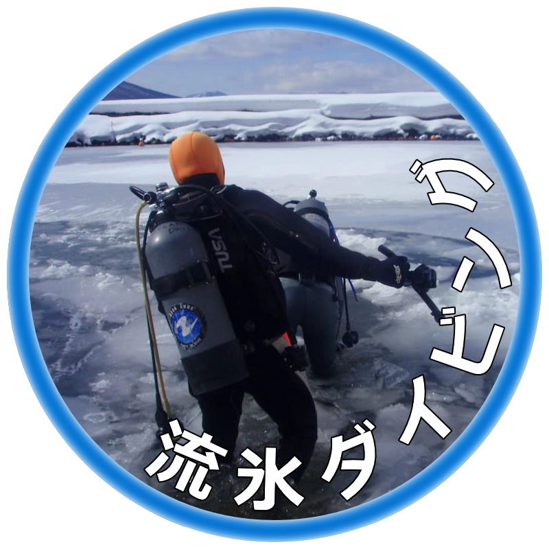 流氷ダイビング
