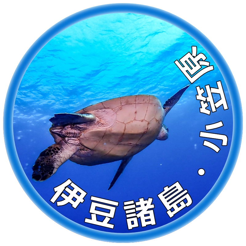伊豆諸島・小笠原ダイビングツアー