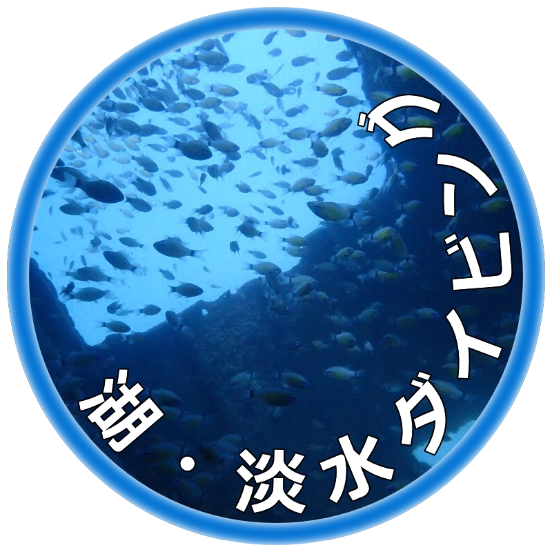 湖・淡水ダイビングツアー